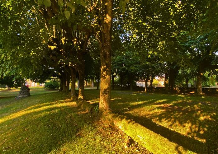 The Domaine's park at golden hour